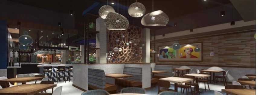 Agave Azul | Winter Park