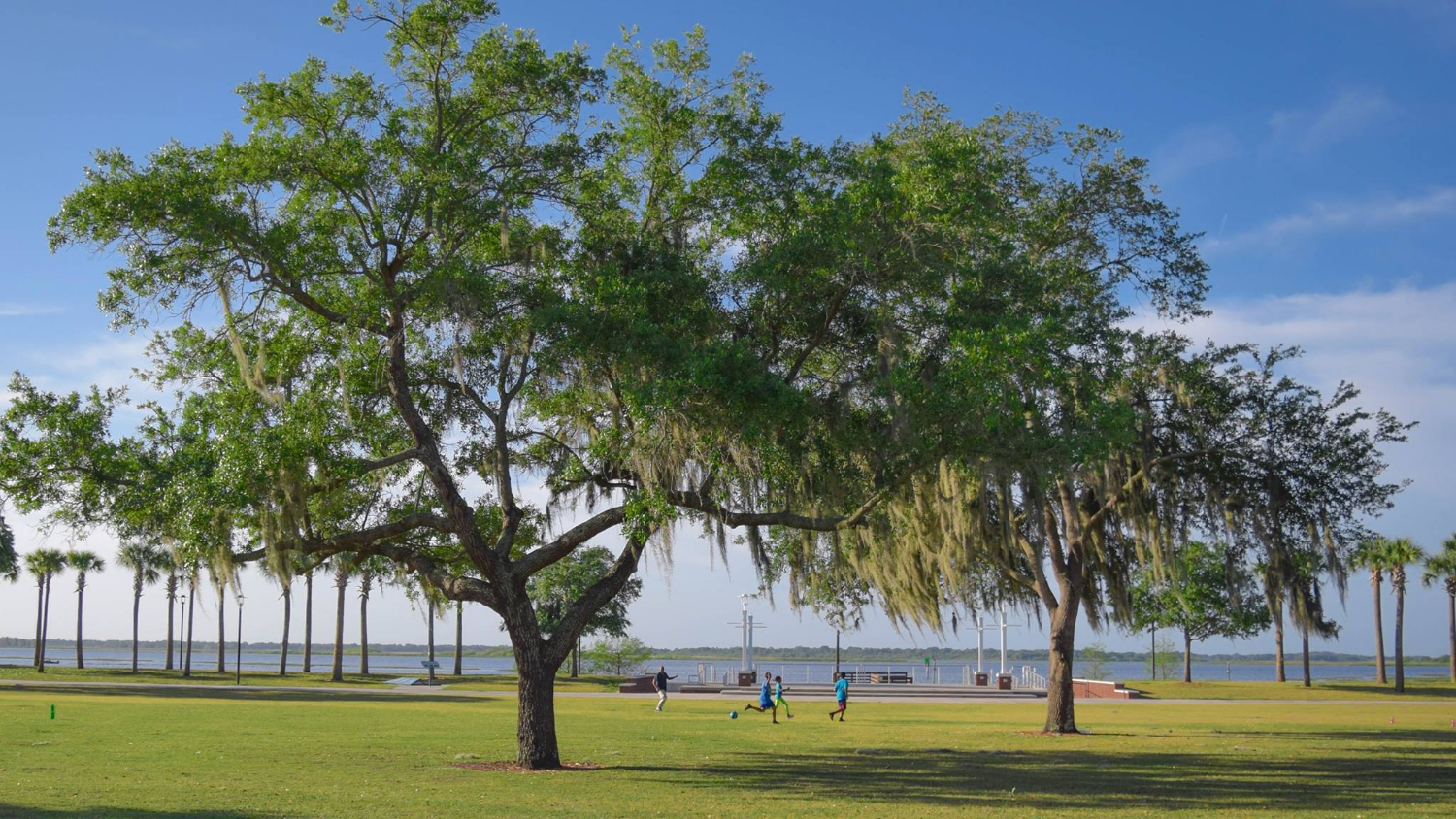 Kissimmee cover image