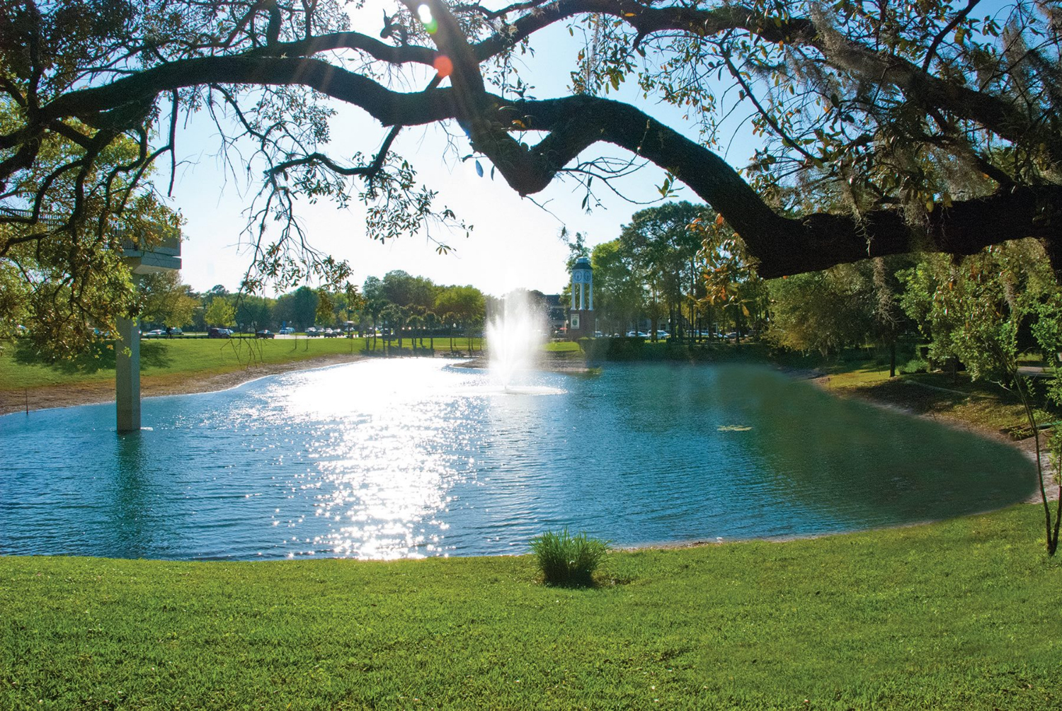 Lake Mary cover image