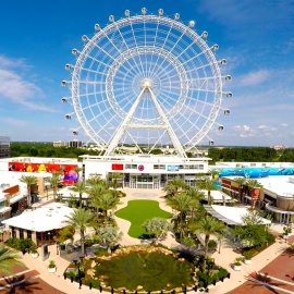 International Drive profile image